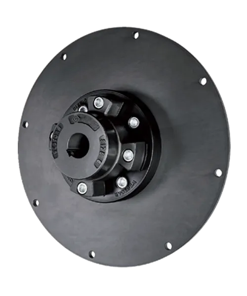 Giunto elastico Rotoflexi D